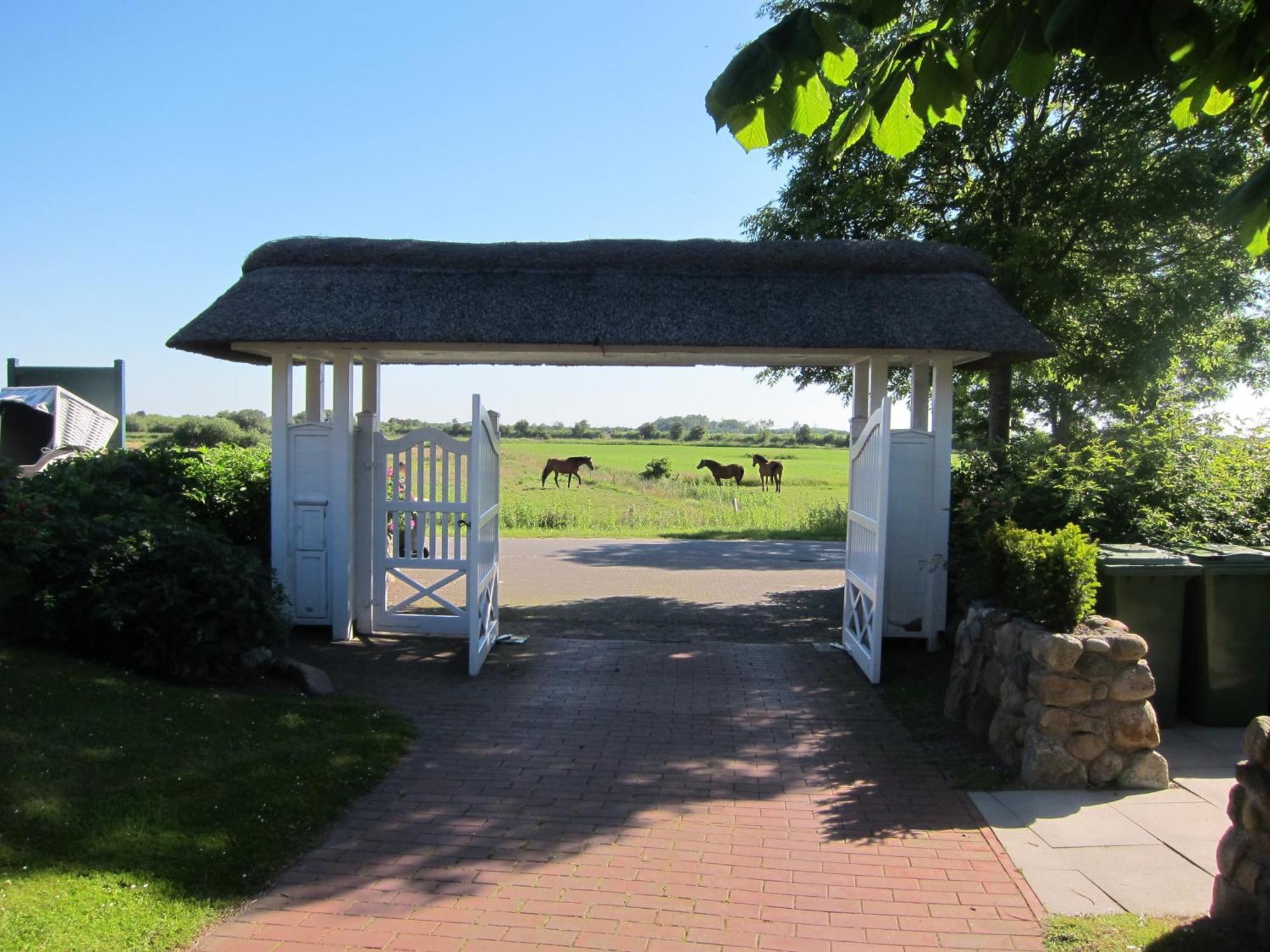 Nordseekrabbe 12 Herrenhof Wrixum 外观 照片