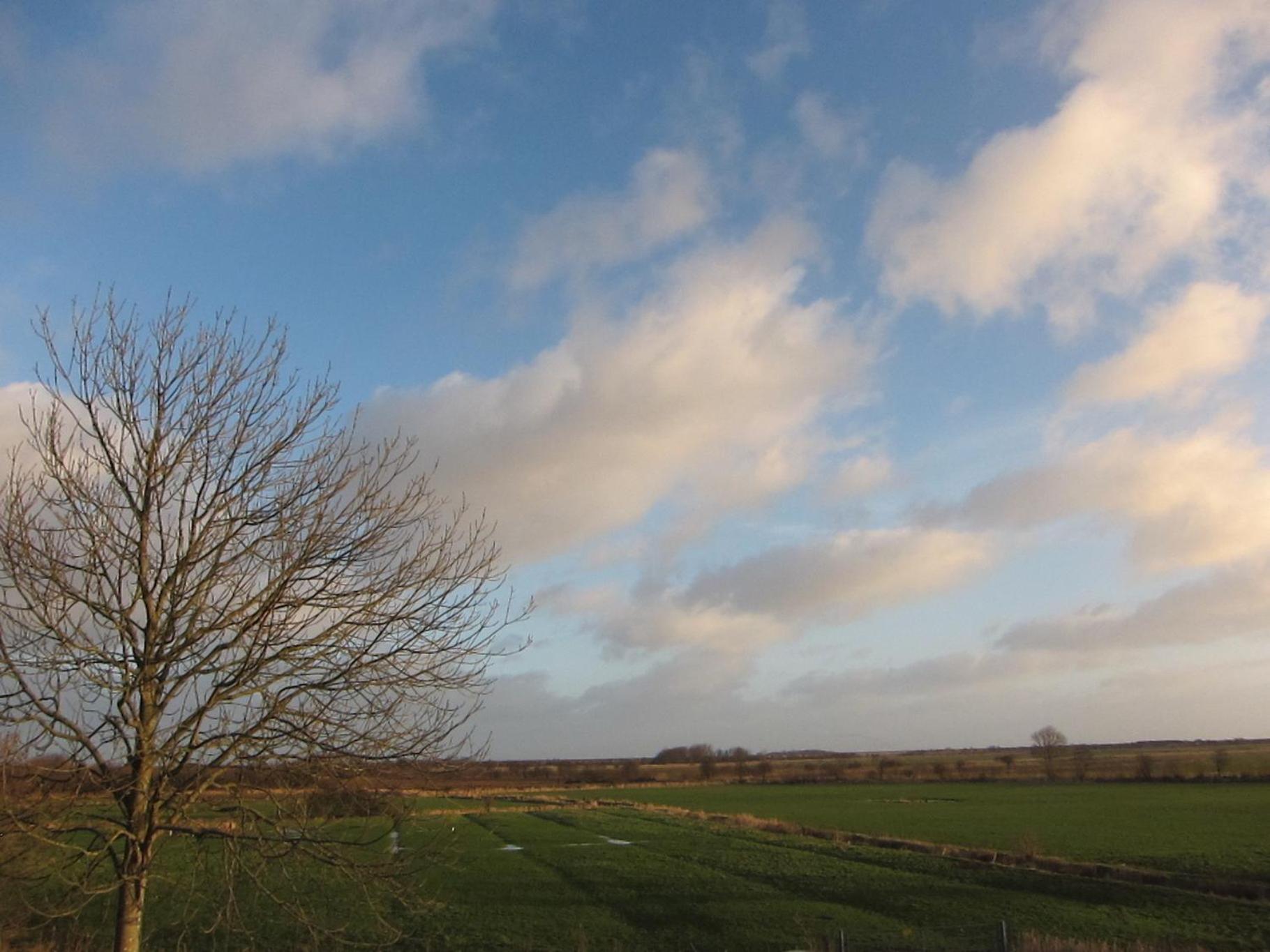Nordseekrabbe 12 Herrenhof Wrixum 外观 照片