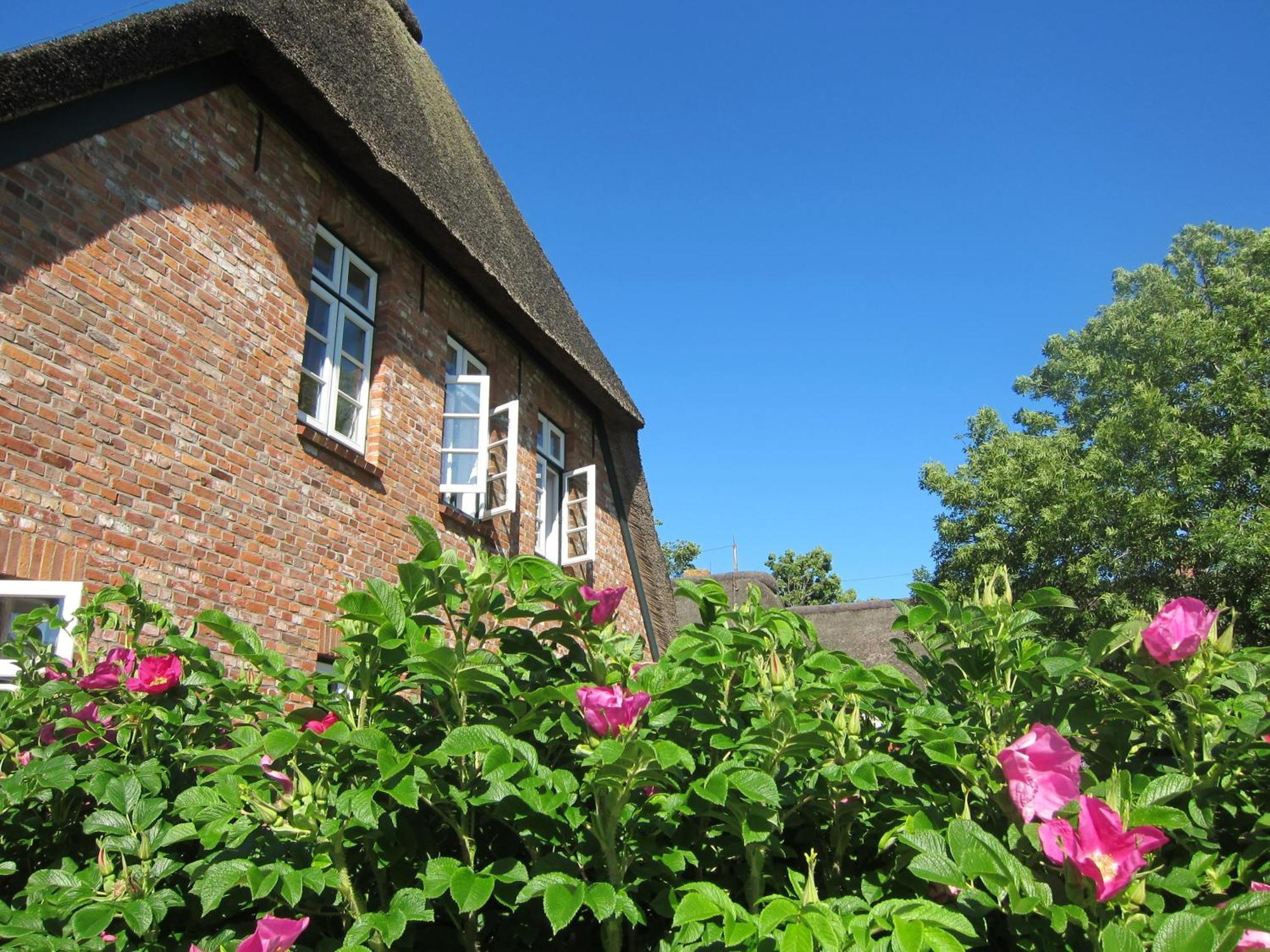 Nordseekrabbe 12 Herrenhof Wrixum 外观 照片